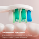 Змінні насадки Philips Sonicare InterCare Standard HX9004/87 (4 шт) для глибокого очищення