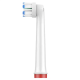 Насадки EB60-X для електричної зубної щітки Oral-B Sensitive Clean